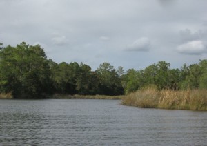 Sample water scene from boat.